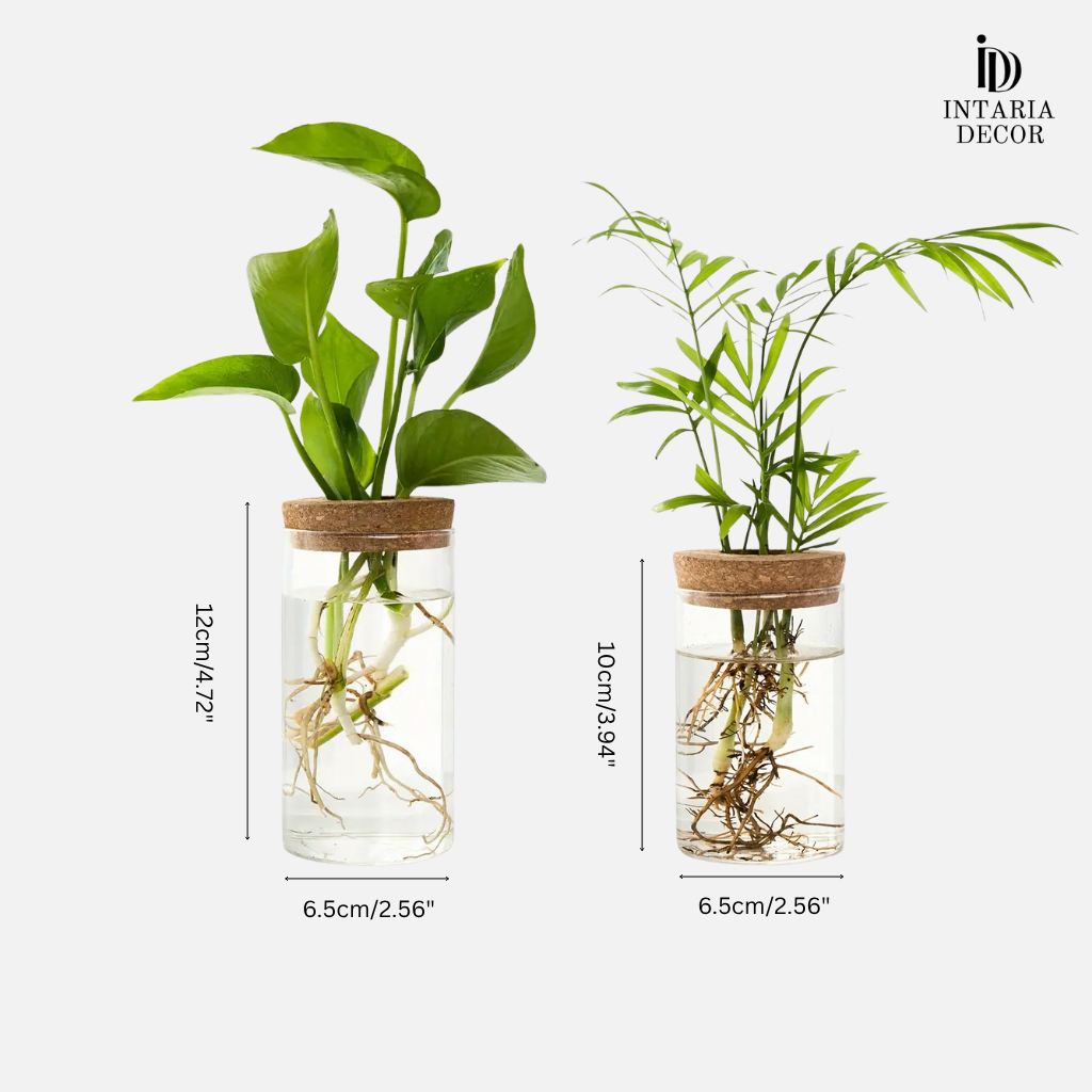 Glacira Vases
