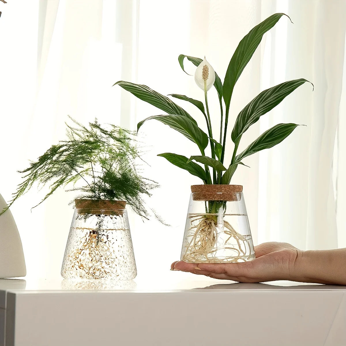 Clarva Vases