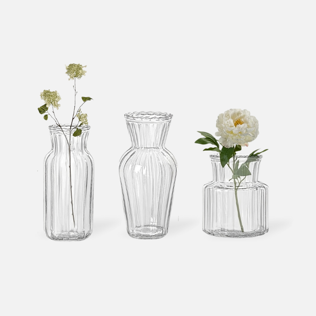 Elaris set of clear glass vases in various sizes: Verta, Bellea, and Luma, holding fresh and dried flowers
