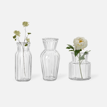 Elaris set of clear glass vases in various sizes: Verta, Bellea, and Luma, holding fresh and dried flowers