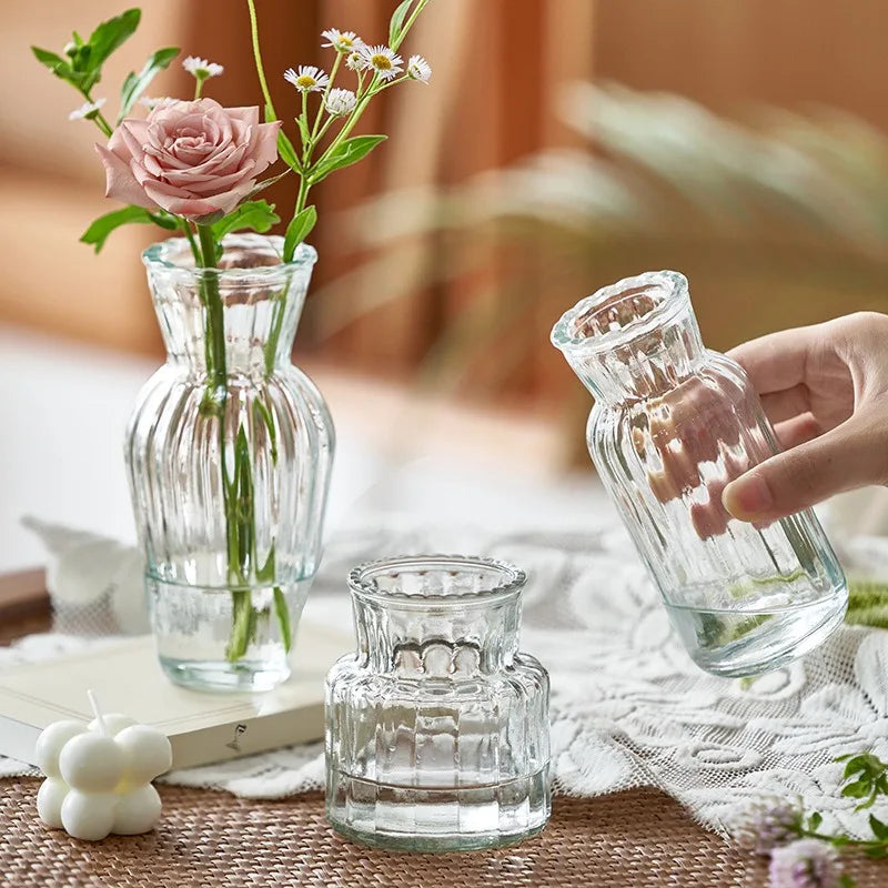 Transparent glass vases with delicate stems in stylish living room setting