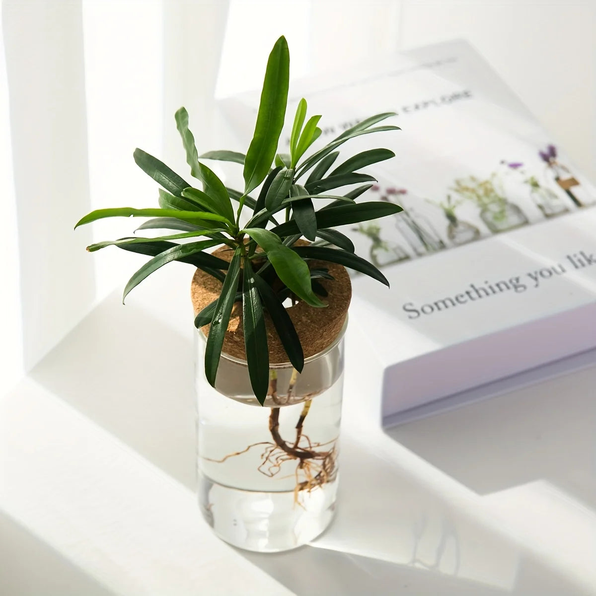 Glacira Vases