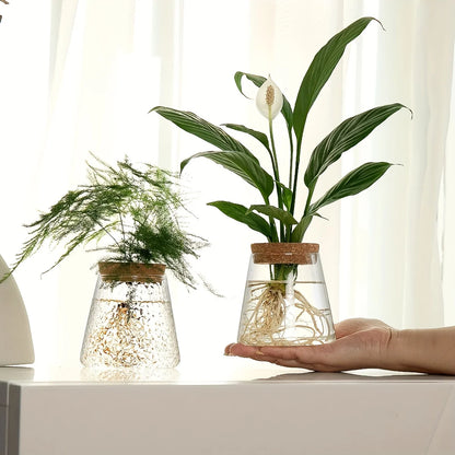 Clarva Vases