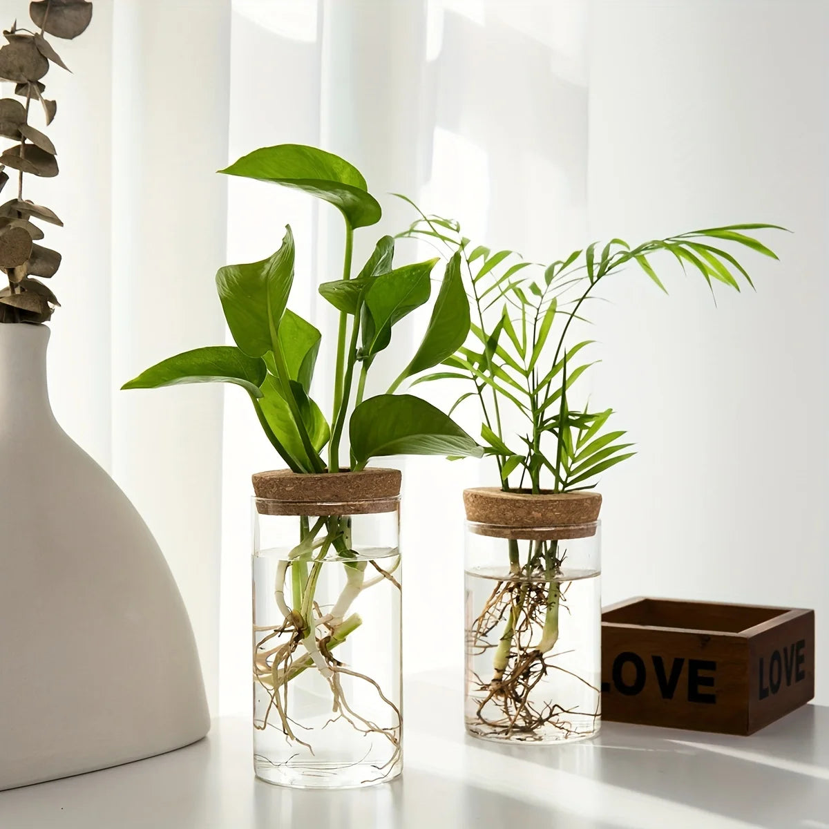 Small and large glass vases with wooden base for fresh and dried flowers