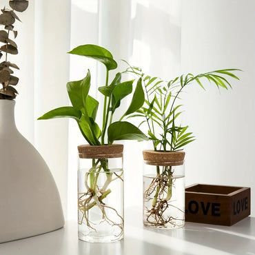 Small and large glass vases with wooden base for fresh and dried flowers